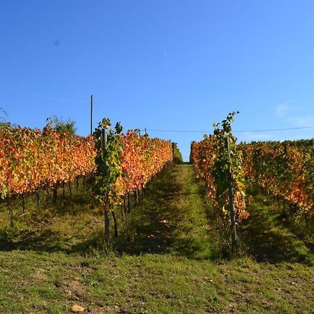 Agriturismo Costa Dei Platani アックイテルメ エクステリア 写真