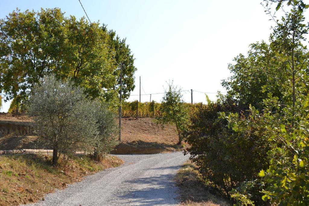 Agriturismo Costa Dei Platani アックイテルメ エクステリア 写真