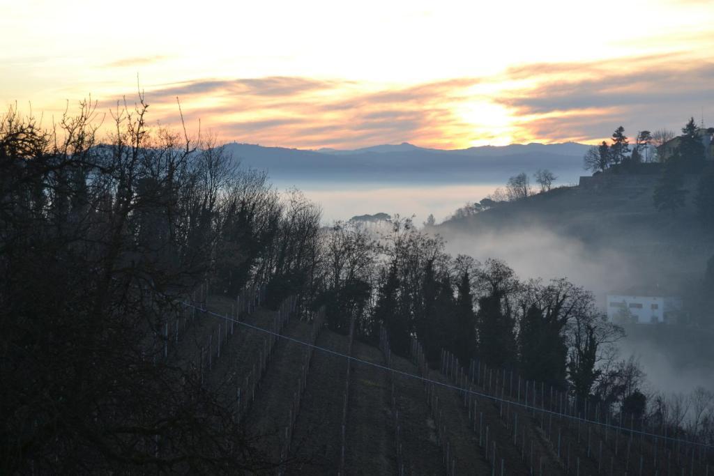 Agriturismo Costa Dei Platani アックイテルメ エクステリア 写真