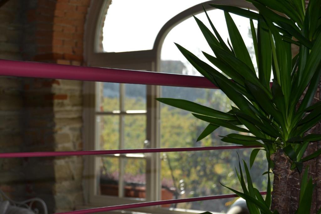 Agriturismo Costa Dei Platani アックイテルメ エクステリア 写真