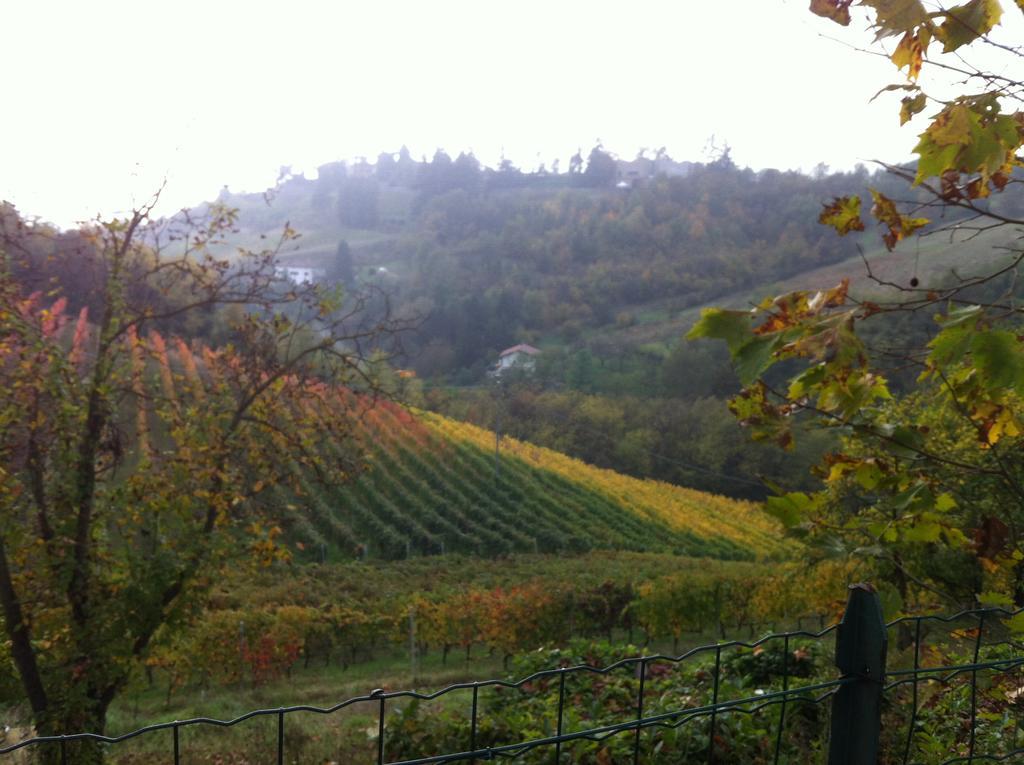 Agriturismo Costa Dei Platani アックイテルメ エクステリア 写真