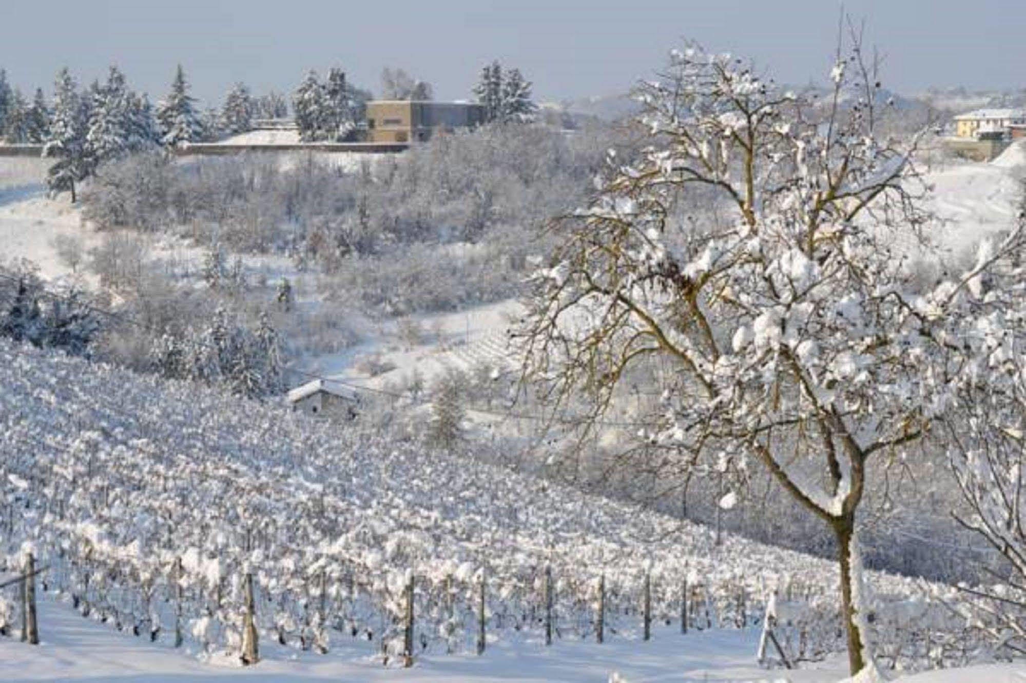 Agriturismo Costa Dei Platani アックイテルメ エクステリア 写真