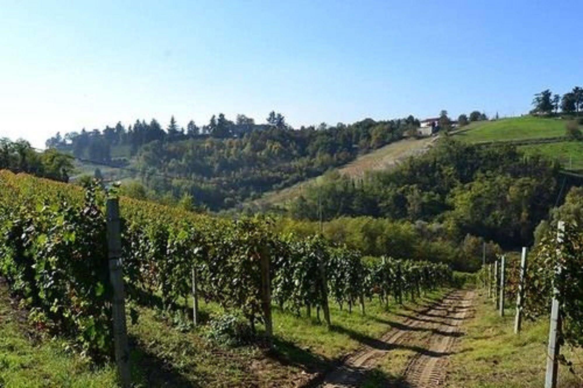 Agriturismo Costa Dei Platani アックイテルメ エクステリア 写真