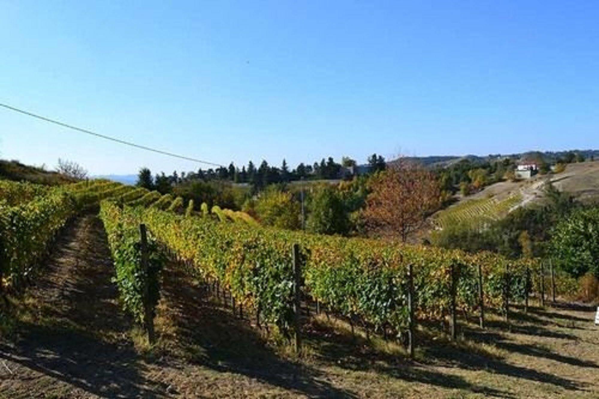 Agriturismo Costa Dei Platani アックイテルメ エクステリア 写真